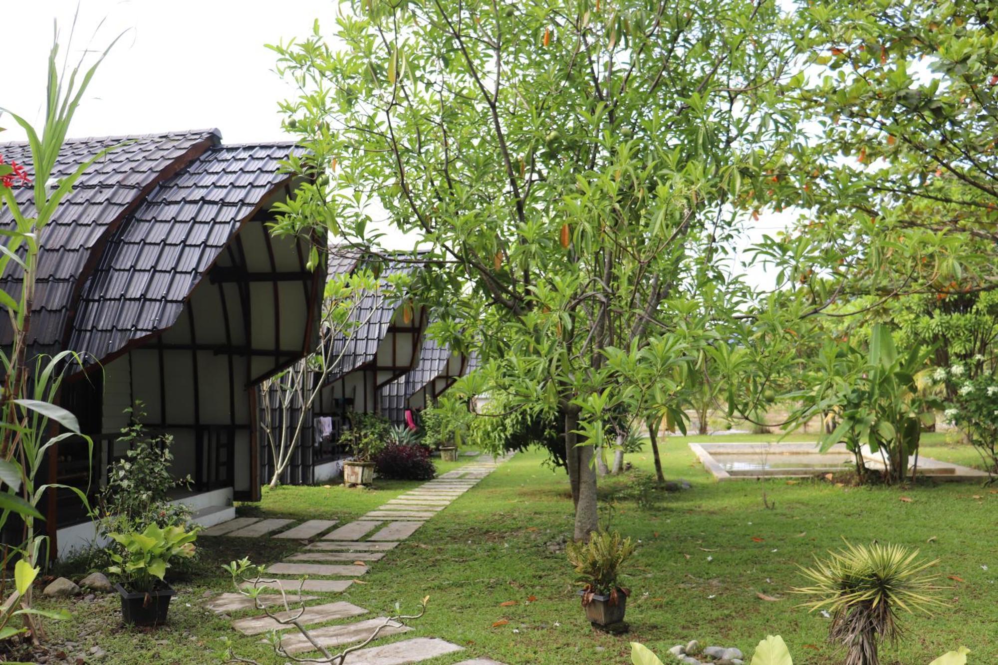 Gino'S Place - Guest House & Jungle Trekking Букіт-Лаванґ Екстер'єр фото